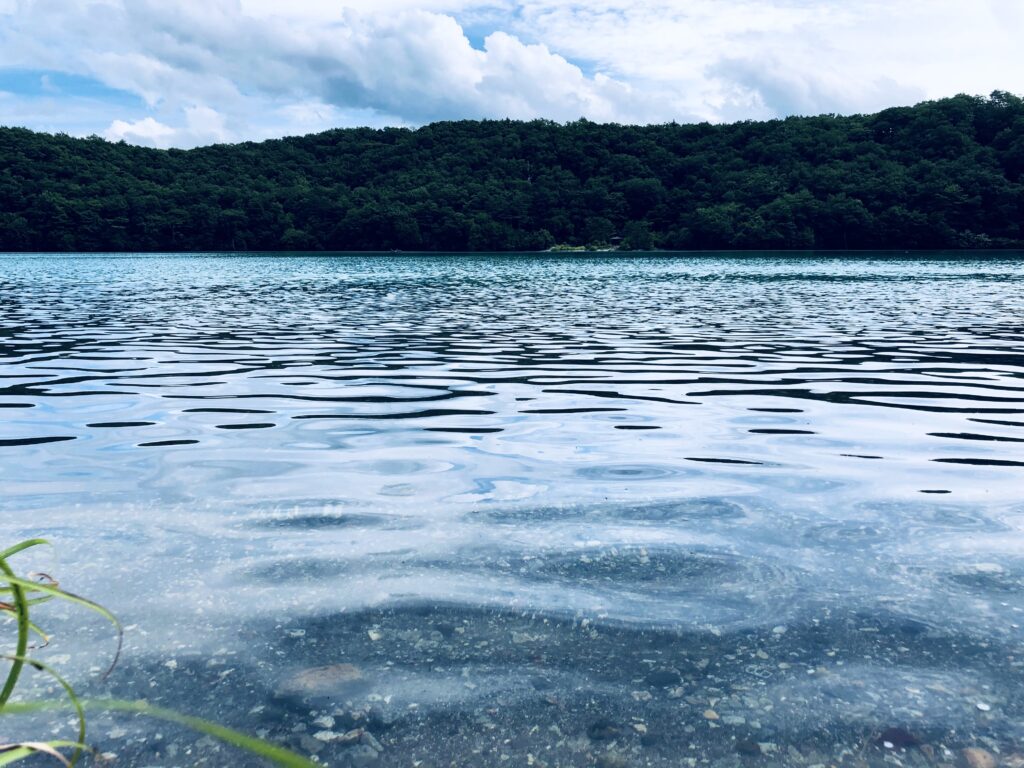 宮城県大崎市にある潟沼